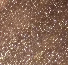 MoltenGleam Liquid Eyeshadow